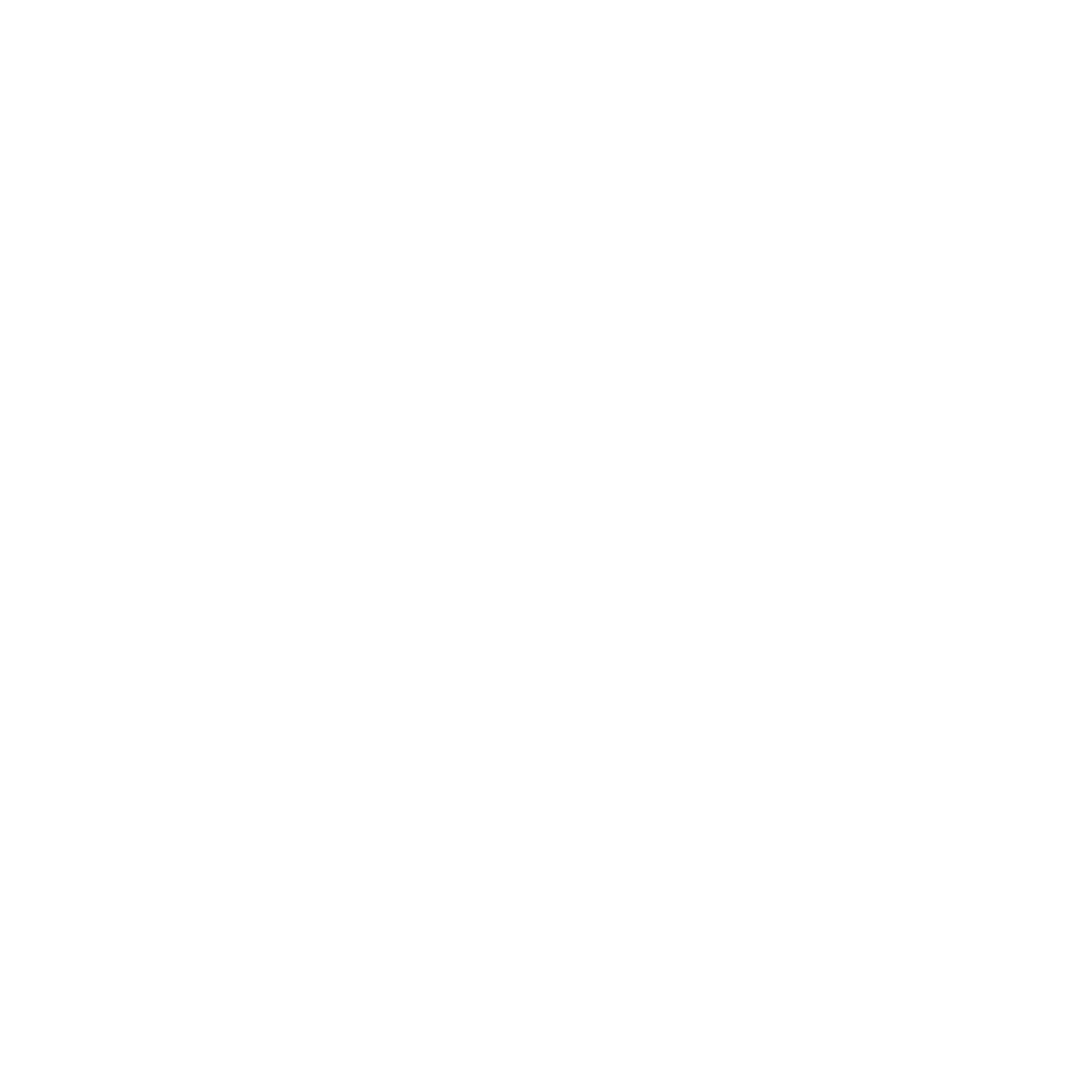 STEMROBO
