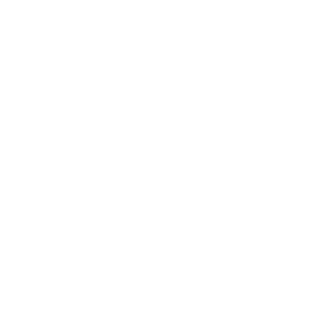 STEMROBO